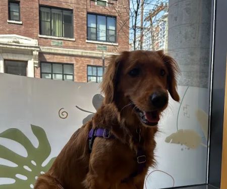 Sage Veterinary Center
