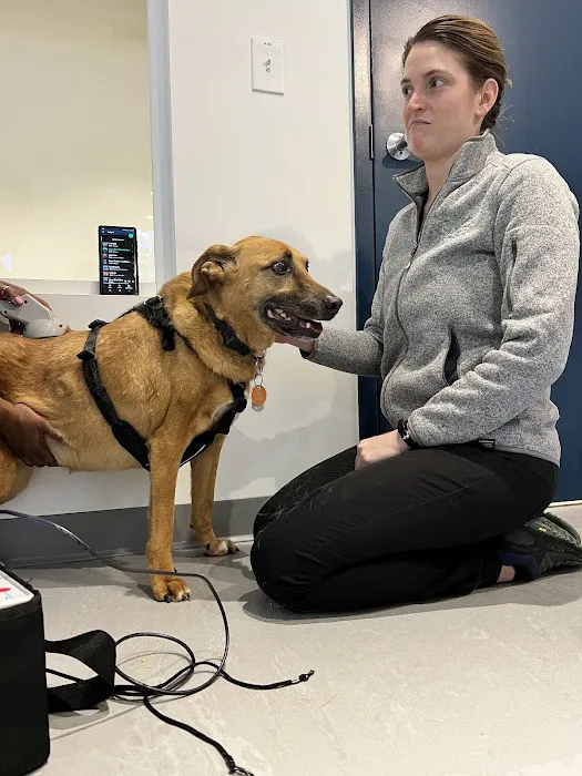 Sage Veterinary Center Picture 9
