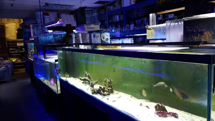 Living Reef Aquariums Picture 5