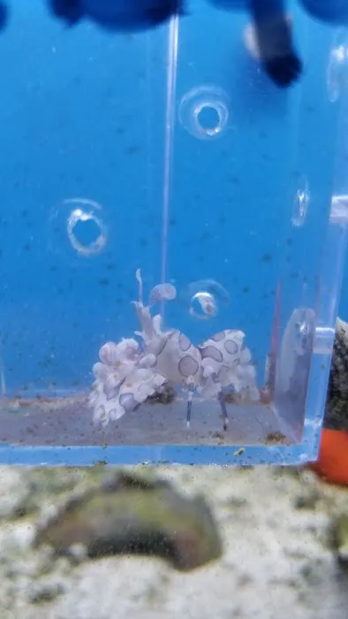 Living Reef Aquariums Picture 1