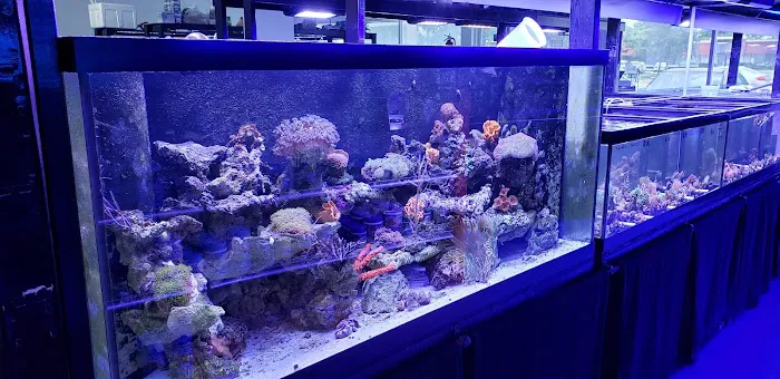 Living Reef Aquariums Picture 2