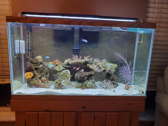 Living Reef Aquariums Picture 9