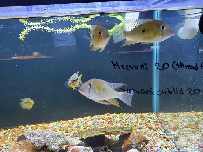Living Reef Aquariums Picture 10