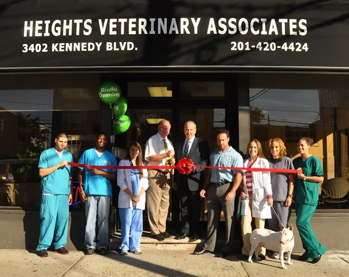 Heights Veterinary Associates Picture 1