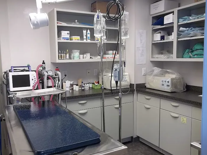 Heights Veterinary Associates Picture 4