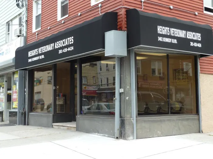 Heights Veterinary Associates Picture 5
