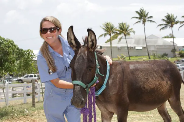 Heights Veterinary Associates Picture 8