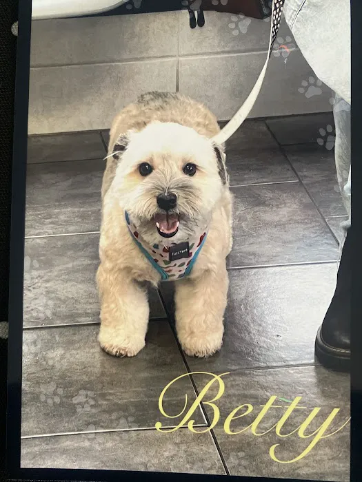 Heights Veterinary Associates Picture 9