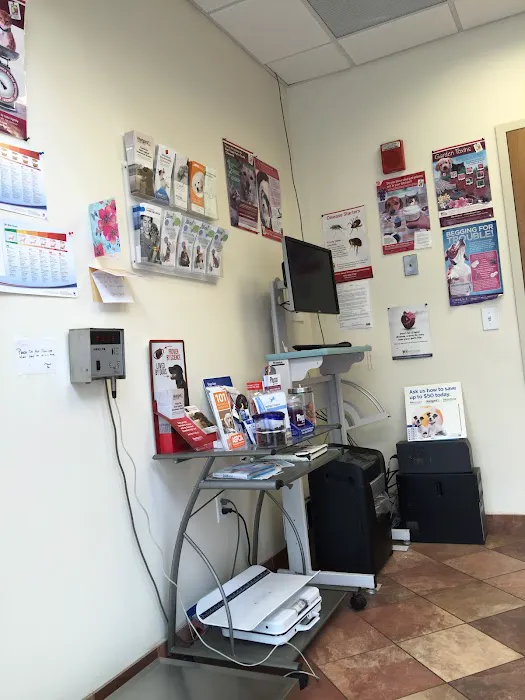 Newport Veterinary Center Picture 5