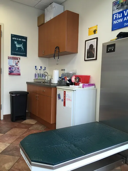 Newport Veterinary Center Picture 4