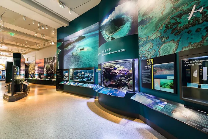 Reef Aquaria Design Picture 3