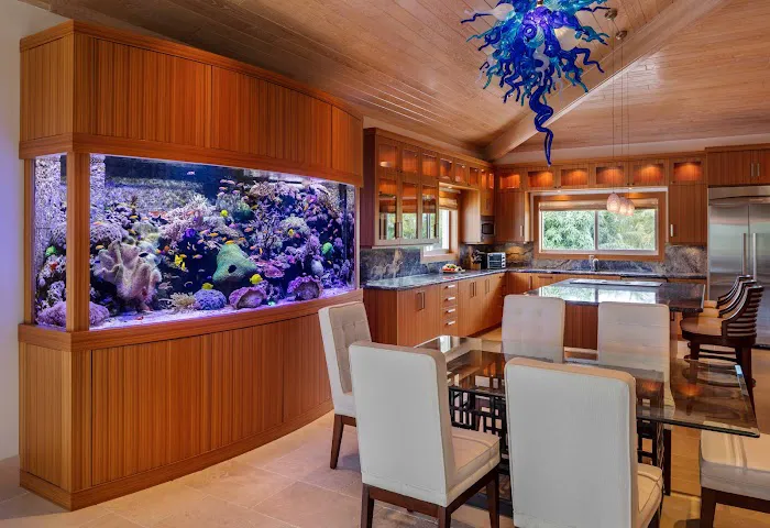 Reef Aquaria Design Picture 7