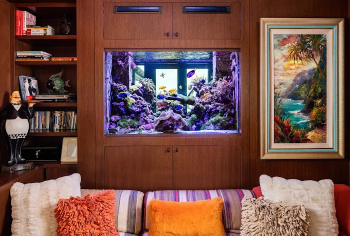 Reef Aquaria Design Picture 10