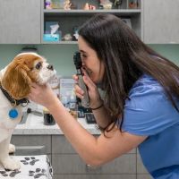 Battery Park Veterinary Hospital ico