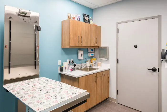 Battery Park Veterinary Hospital Picture 2