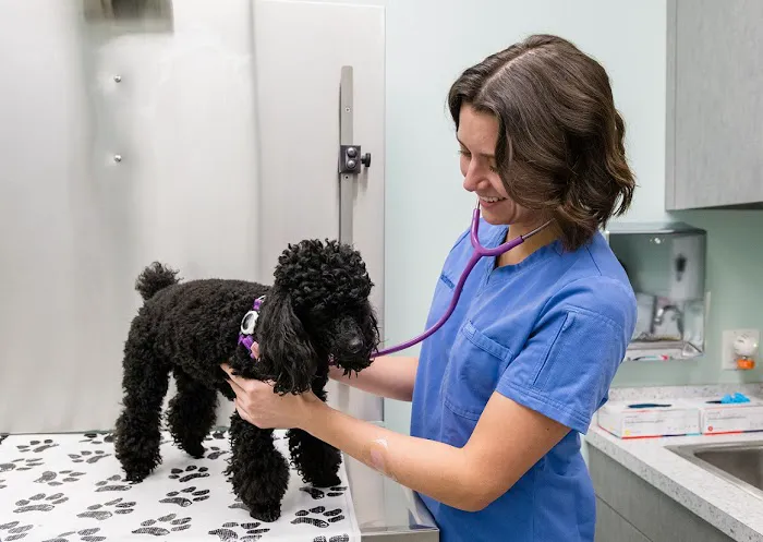 Battery Park Veterinary Hospital Picture 4