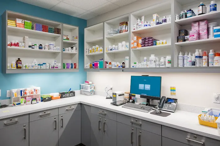 Battery Park Veterinary Hospital Picture 8