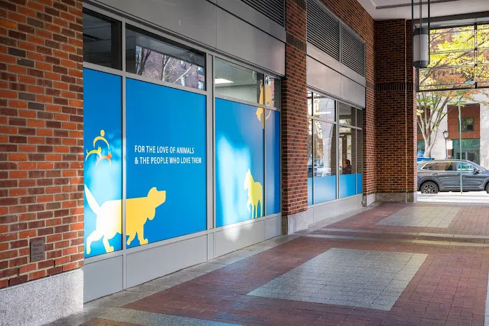 Battery Park Veterinary Hospital Picture 9