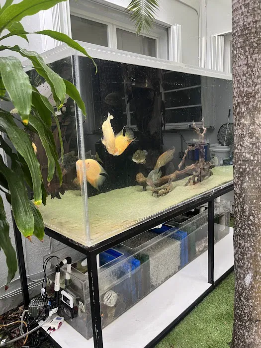 Alloys and Aquariums Picture 2