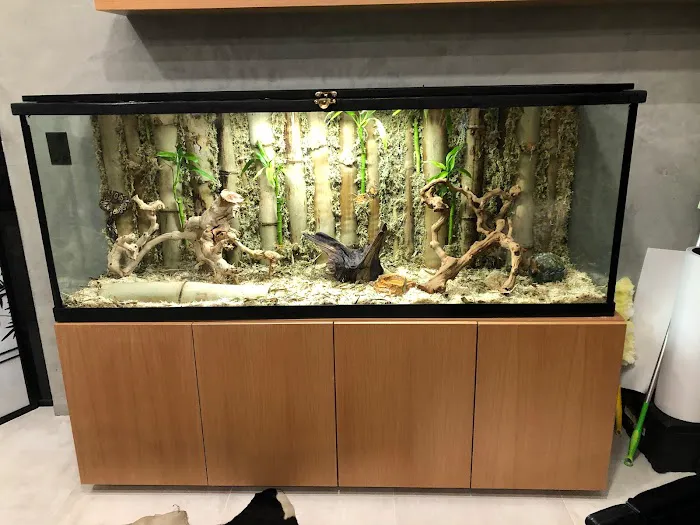 Alloys and Aquariums Picture 3