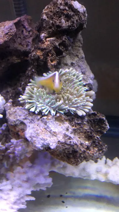 Alloys and Aquariums Picture 7