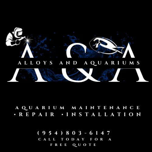 Alloys and Aquariums Picture 10