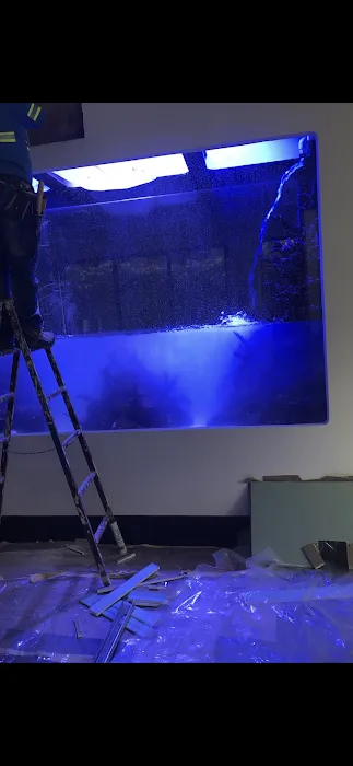 Alloys and Aquariums Picture 8