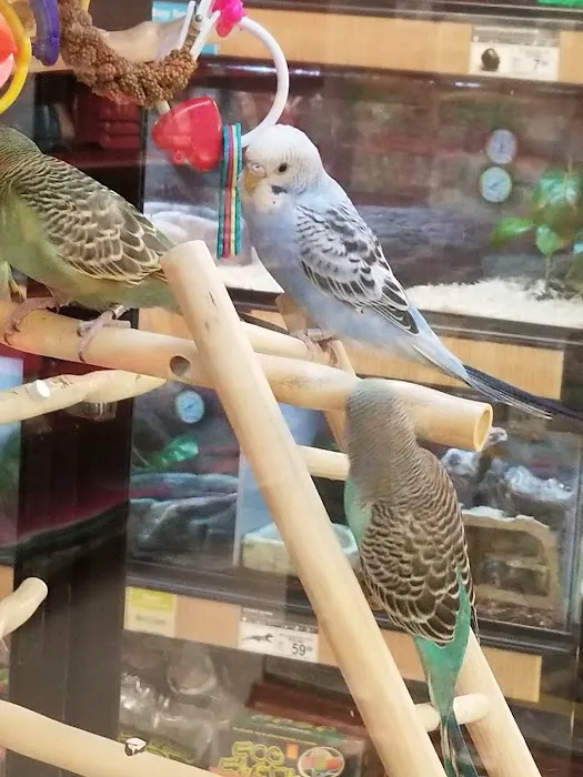 Petco Picture 2