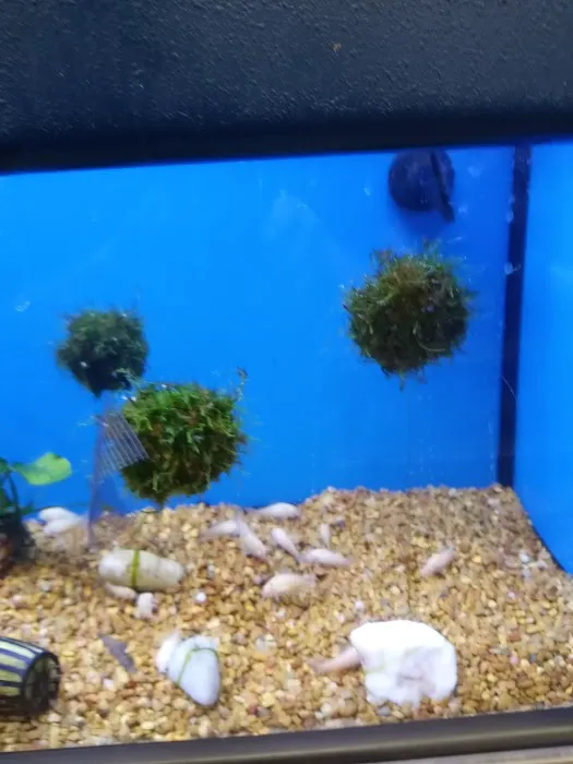 Petco Picture 5