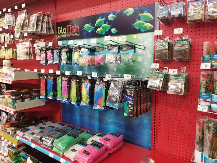 Petco Picture 3
