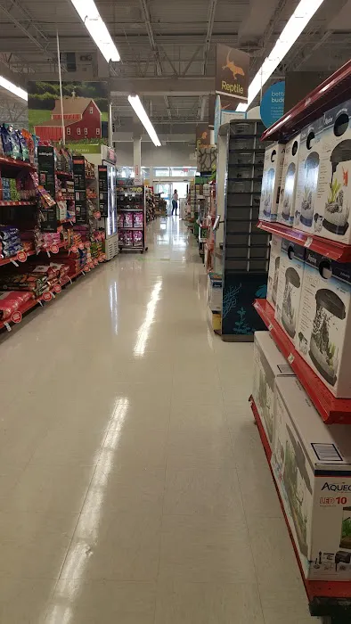 Petco Picture 9