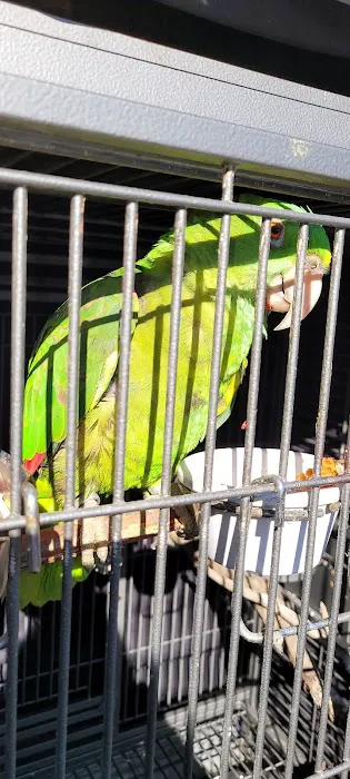 Petco Picture 7
