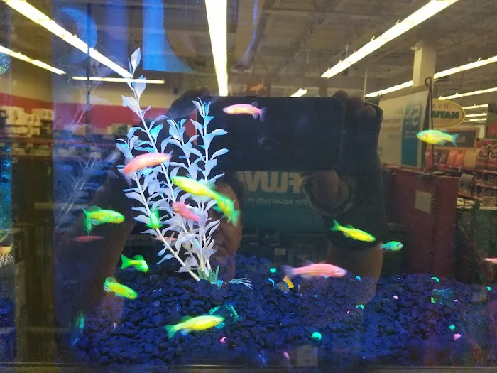 Petco Picture 10
