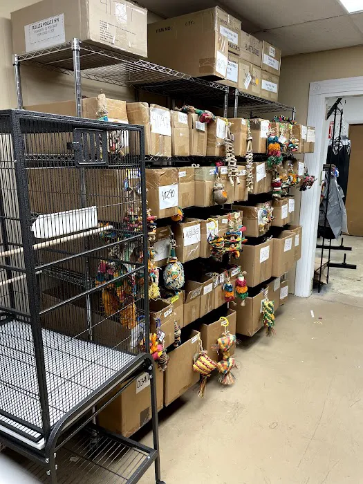 Reade Street Animal Hospital, A Thrive Pet Healthcare Partner Picture 2