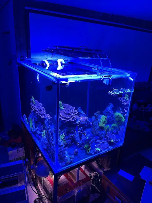 247 Aquariums Picture 1
