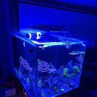 247 Aquariums ico