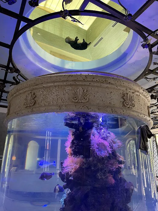 247 Aquariums Picture 8