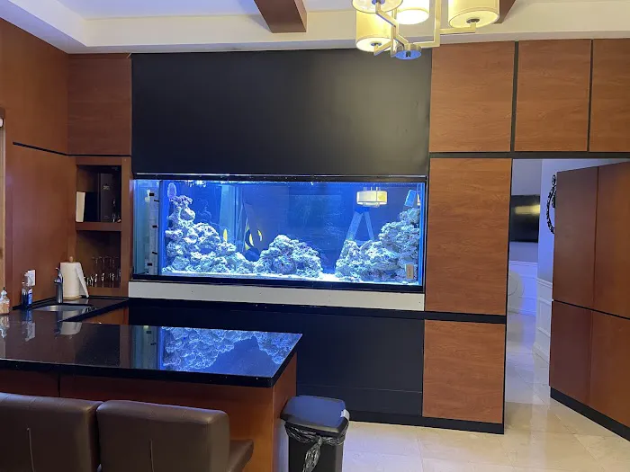 247 Aquariums Picture 6