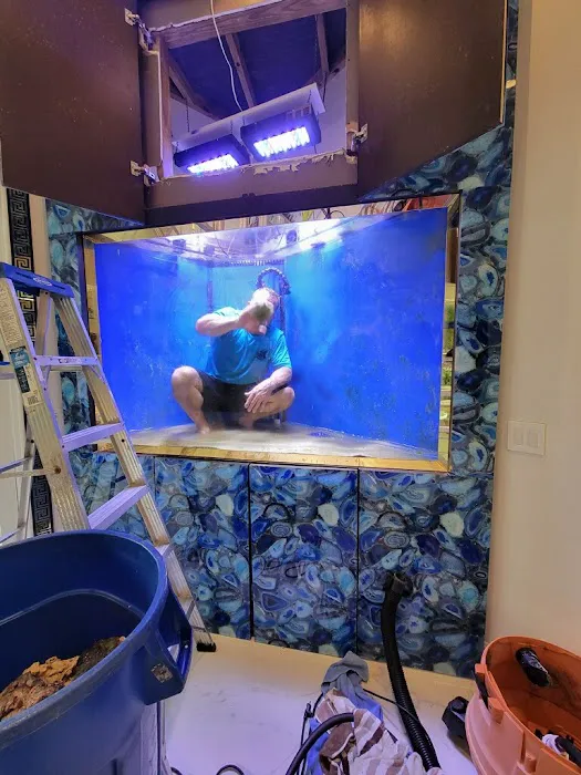 247 Aquariums Picture 3