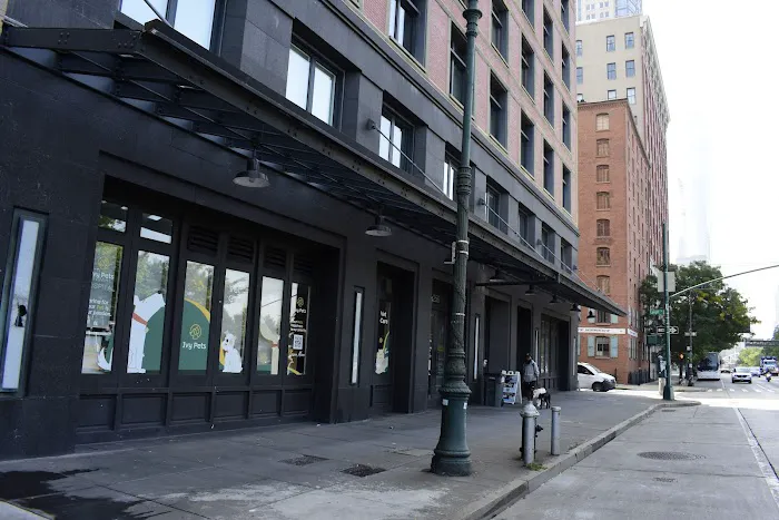 Ivy Pets - Tribeca Picture 8