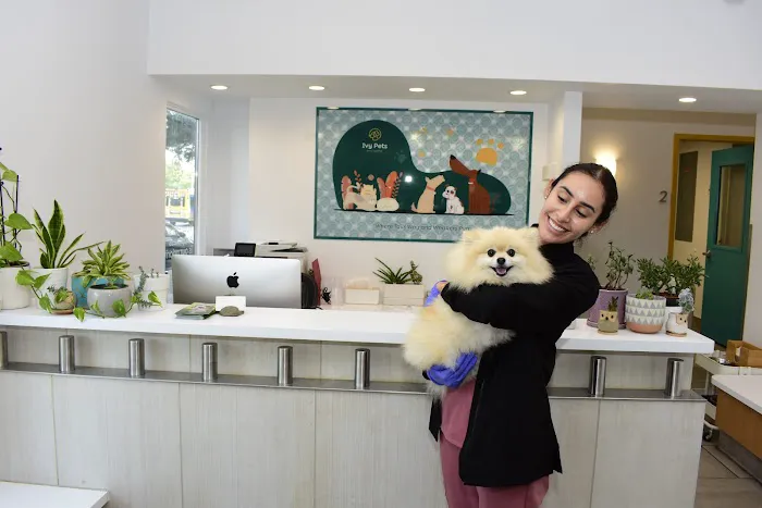 Ivy Pets - Tribeca Picture 7