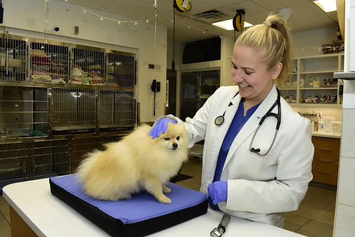 Ivy Pets - Tribeca Picture 9