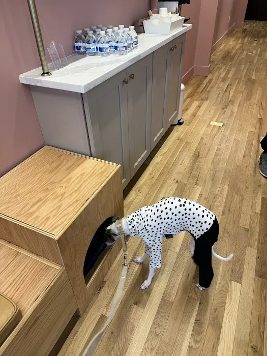 Tribeca Veterinary Dentistry Picture 5