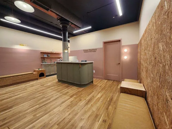 Tribeca Veterinary Dentistry Picture 8
