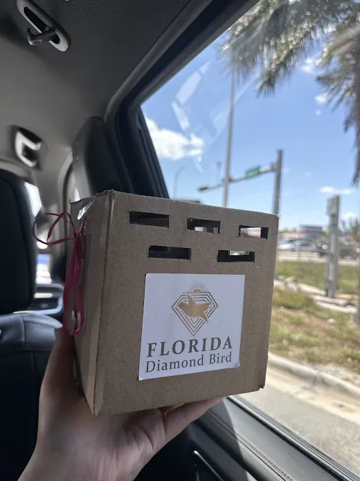 Florida Diamond Bird Picture 7