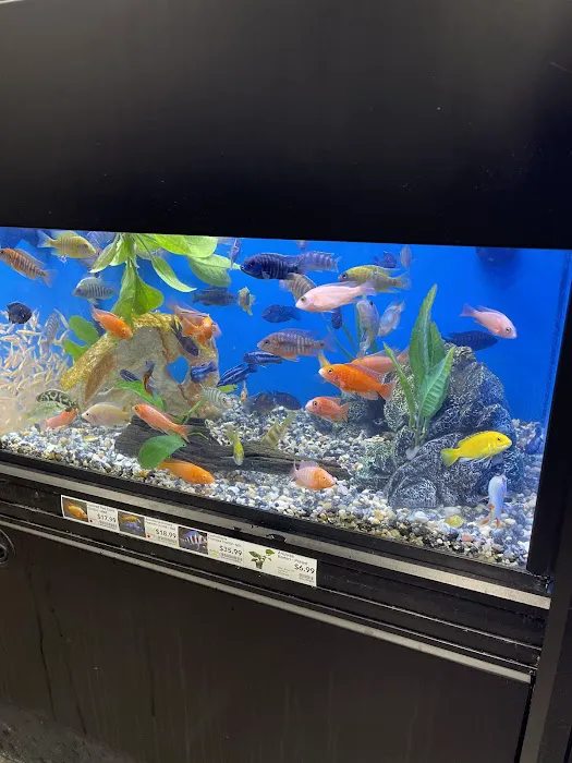 Pet Supermarket Picture 3