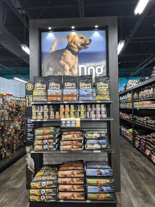 Pet Supermarket Picture 2