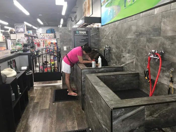 Pet Supermarket Picture 6