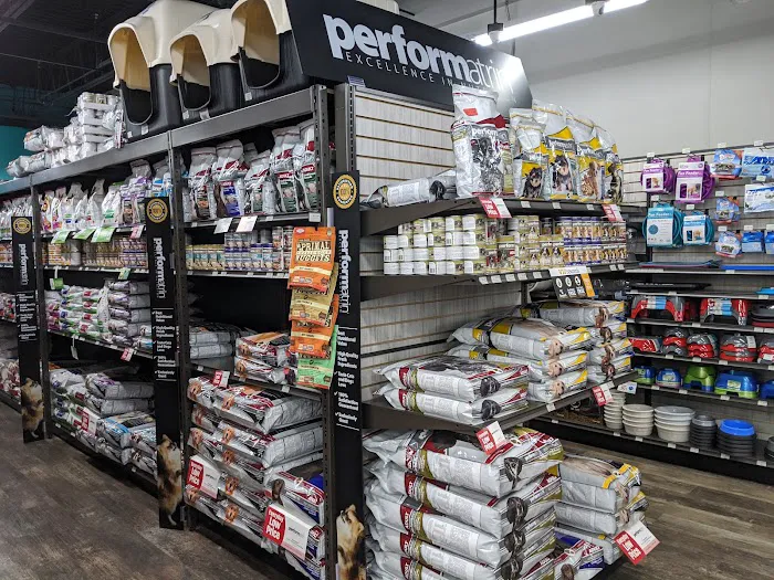 Pet Supermarket Picture 7