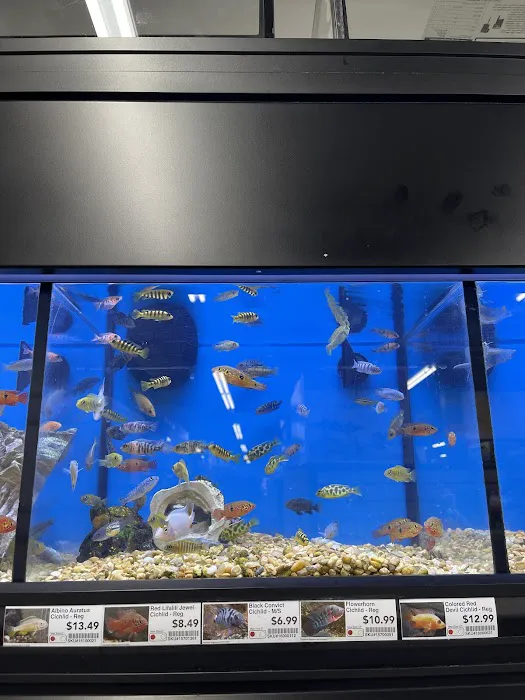 Pet Supermarket Picture 8